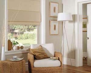 Beautiful lounge blinds